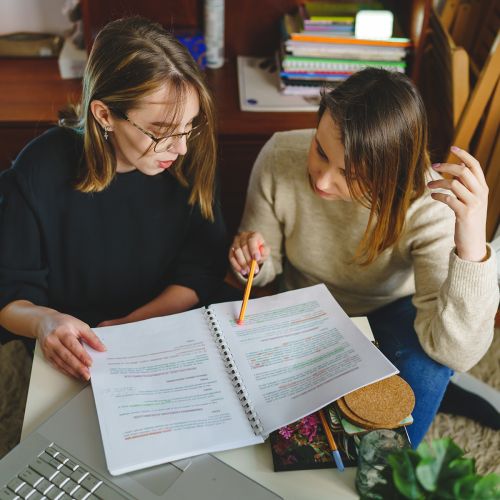 Tlc Supported Employment Alt